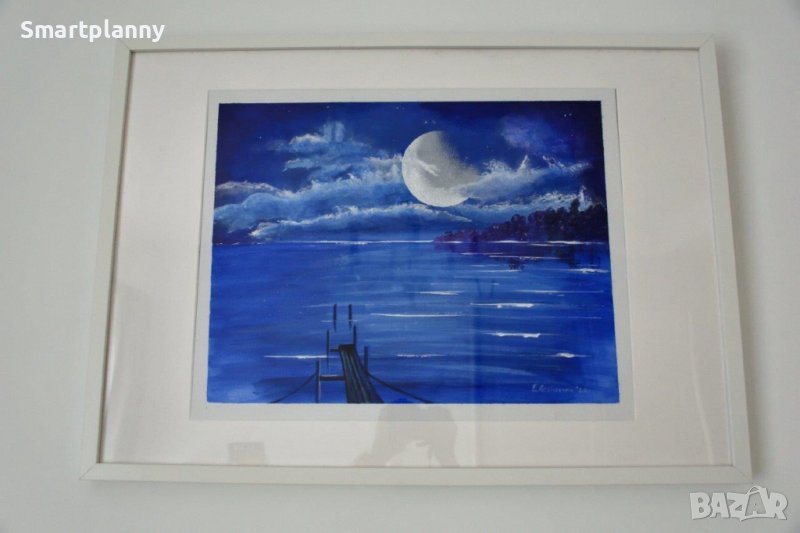 Лунна нощ, снимка 1