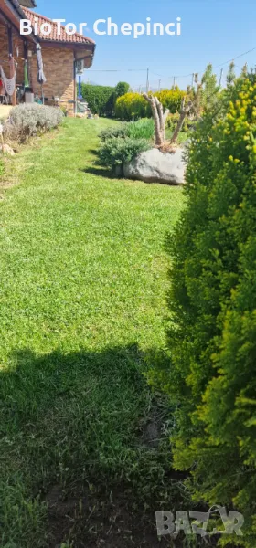 🌿Наторяване на трева с тор от Калифорнийски червей, снимка 1