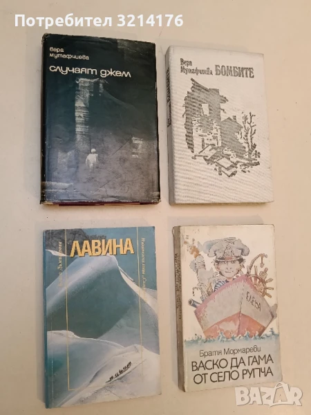 Лавина - Блага Димитрова, снимка 1