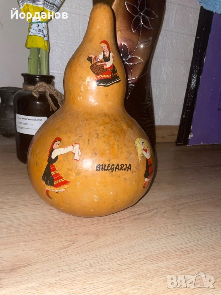 Рисувана кратунка, снимка 1