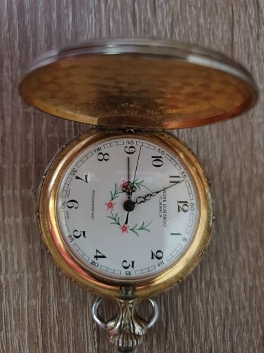 Швейцарски позлатен джобен часовник в Джобни в гр. Пловдив - ID28350022 —  Bazar.bg