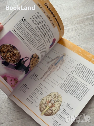 Как да балансираме дейностите на мозъка | Книгомания| Филип Картър, Кевин Ръсел , снимка 14 - Други - 53437858