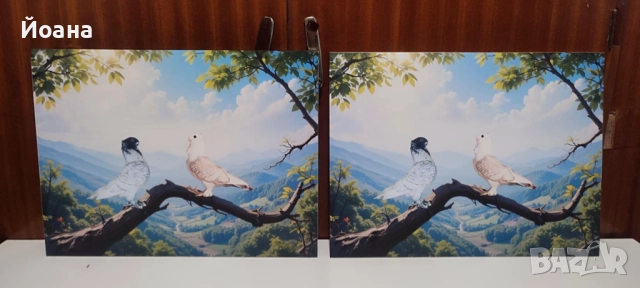 60x40см пвц пана декорация за стена, снимка 4 - Пана - 52462532