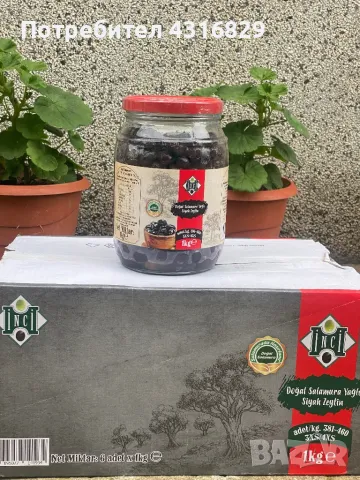 Маслини - INCI