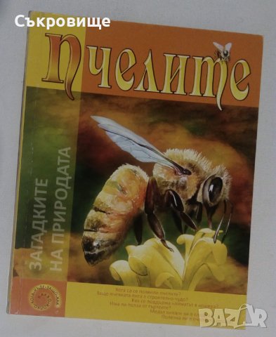 Детска картонена книжка голям формат Пчелите Загадките на природата, снимка 2 - Детски книжки - 43302877