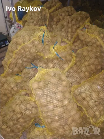 Картофи, Френско за чипс , Резене , Rezene, снимка 2 - Други - 48695284