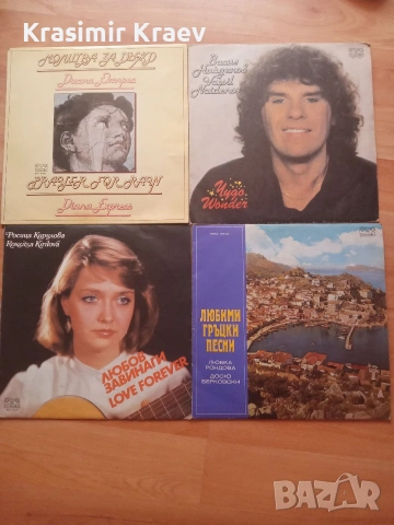 Грамофонни плочи 40 евро на куп за всички, снимка 4 - Грамофонни плочи - 53198763