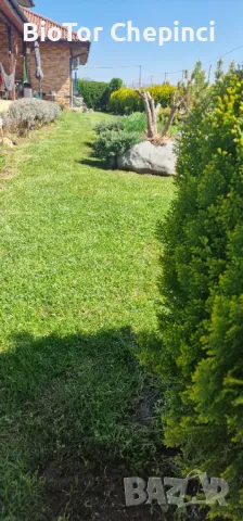 🌿Наторяване на трева с тор от Калифорнийски червей