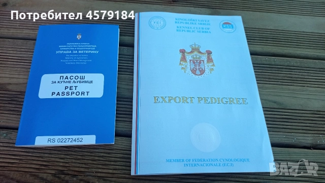 лагото Романьоло родословие , снимка 6 - Други - 53304843