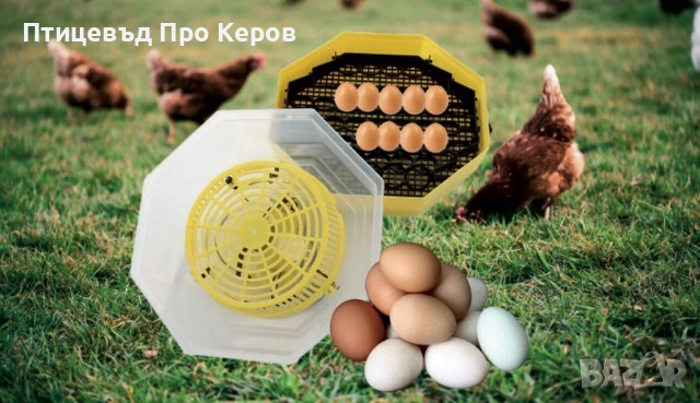 Инкубатори за яйца CLEO 5