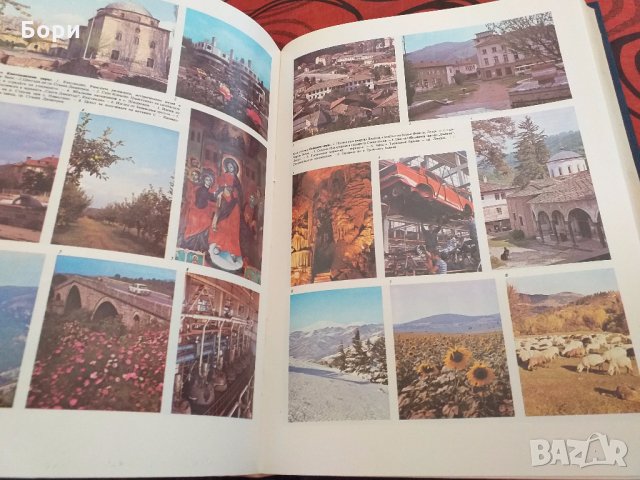 Енциклопедия България, снимка 6 - Енциклопедии, справочници - 26582117