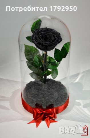 Подарък за рожден ден / Вечна Черна роза в ГОЛЯМА стъкленица / Оригинален подарък за нея, снимка 1 - Декорация за дома - 28355038