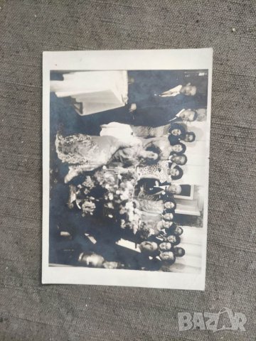 Снимка Д. Доганова