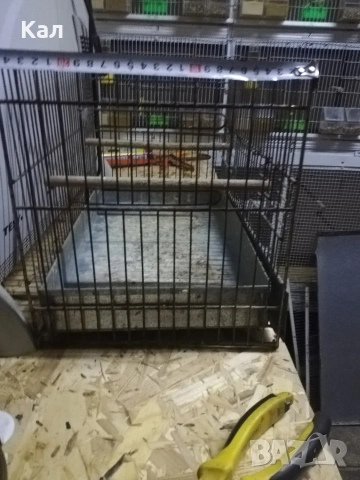 Клетки , снимка 3 - За птици - 53444693