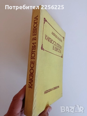 Какво се готви в Европа, снимка 6 - Художествена литература - 52708469