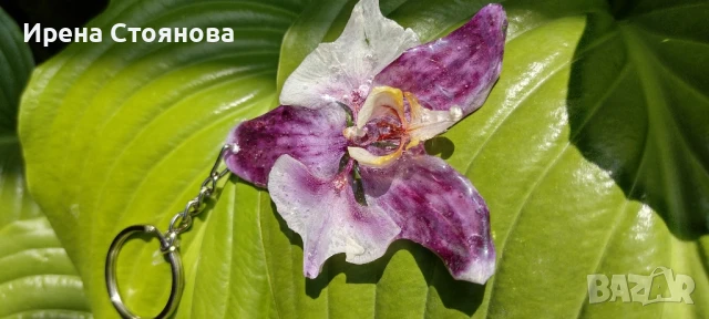 Ключодържател или аксесоар за чанта с естествен цвят на орхидея. Цвета е с размери 7/7,5 см. 
, снимка 15 - Чанти - 50563645