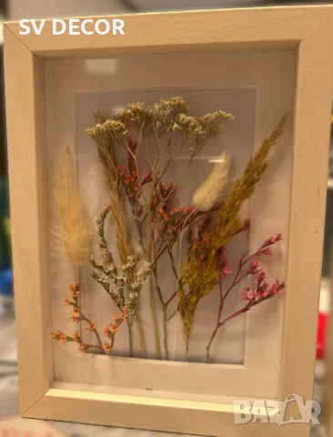 Красиви обемни рамки с декорация от суха растителност, снимка 4 - Декорация за дома - 49648819