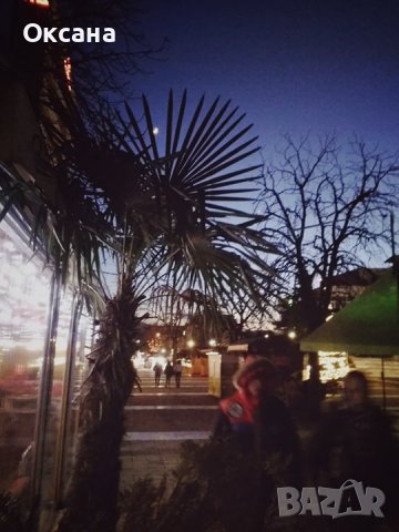 Апартамент-студио в Сандански за нощувки, снимка 14 - Стаи под наем - 39476156