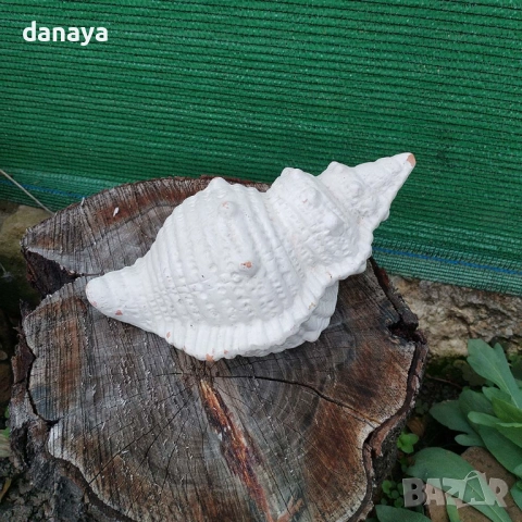 6261 Ретро декоративна фигура Рапан мидена черупка, снимка 3 - Статуетки - 52188160