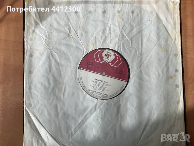 Грамофонна плоча, снимка 3 - Грамофонни плочи - 49763669