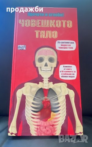 6 броя интересни детски занимателни и образователни, снимка 4 - Образователни игри - 39158995