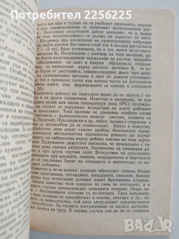 Тайните на зеленото растение, снимка 2 - Специализирана литература - 52668799