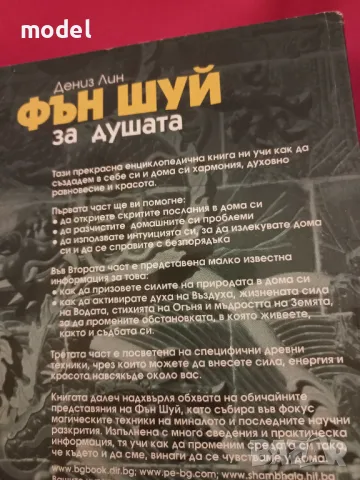 Фън Шуй за душата - Дениз Лин, снимка 4 - Други - 48469756