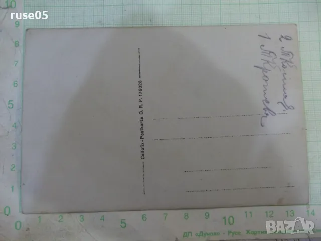 Снимка стара група берачки - 1, снимка 2 - Колекции - 47915123