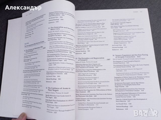 Принципи на невронните науки (на английски език), снимка 5 - Чуждоезиково обучение, речници - 44909530