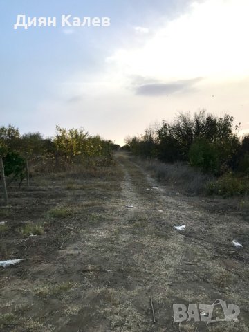 Парцел 1300 кв.м. до варненското езеро, снимка 2 - Парцели - 43729202