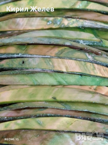 Дамска гривна Кралски седеф разтеглива преобладаващ зелен цвят уникално красива 51367, снимка 2 - Гривни - 51823177