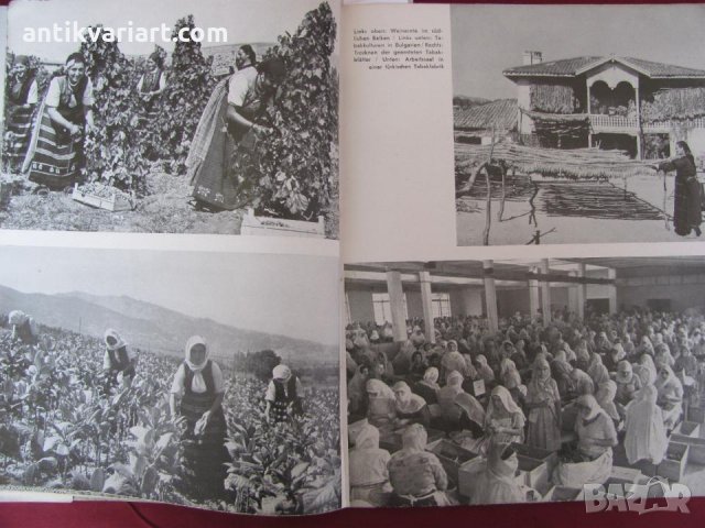 1939г. Книга- Балканите VOLK UND REICH рядка, снимка 10 - Други - 27355798