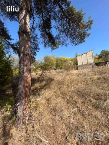 Продава ПАРЦЕЛ област София, с. Широки дол, снимка 2 - Парцели - 53151175