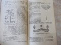 Книга "Занимательная физика-книга1-Я.И.Перельман" - 216 стр., снимка 8