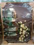 картини 70х50 см, снимка 1