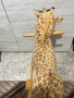 Люлеещо жирафче / конче, снимка 2