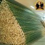 100 Семена от бамбук Moso-Bamboo красиво растение за декорация на вашата градина бамбук мосо бамбо б