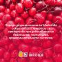 100% СТУДЕНО ПРЕСОВАН НАТУРАЛЕН СОК ОТ ЧЕРЕШИ, снимка 8