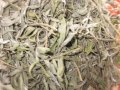 Градински чай/Salvia officinalis/, снимка 1