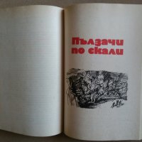 Книги на Жул Верн,Рафаело Сабатини,Майн Рид, снимка 13 - Художествена литература - 28002418