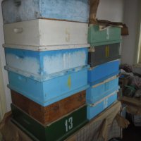 Магазини за кошери 12 рамкови, снимка 2 - За пчели - 38039800