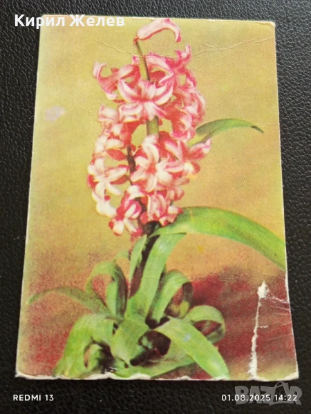 Старо календарче 86г. от соца рядко за КОЛЕКЦИЯ ДЕКОРАЦИЯ 26806, снимка 1