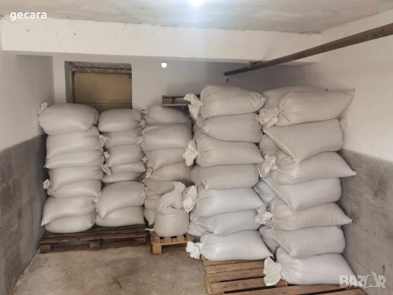 Люцерново семе / Семе люцерна , снимка 1