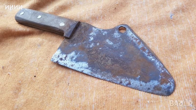 Сатър лемеш, снимка 1