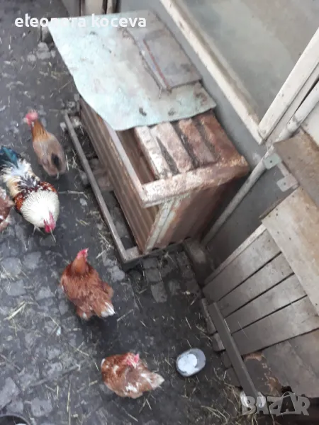 Железен контейнер, снимка 1