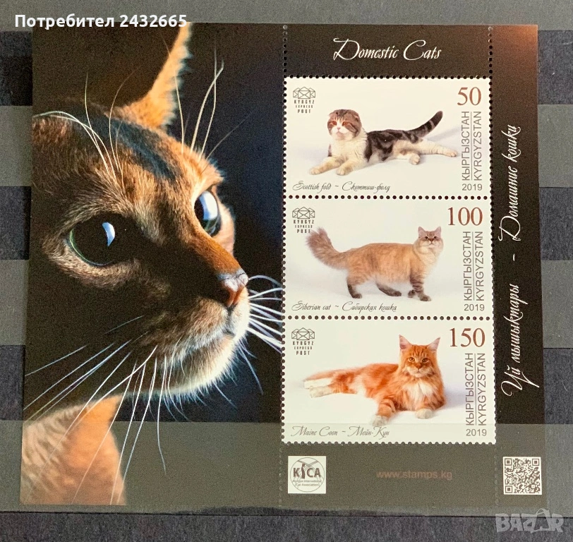 789. Киргизстан 2019 - “ Фауна. Домашни котки. ”, **, MNH, снимка 1