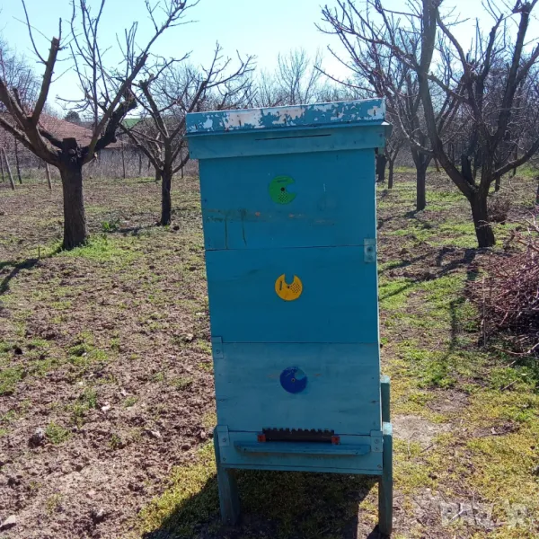 Кошери за пчели, снимка 1