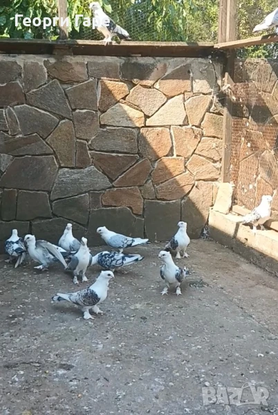 Ориенталски сатинети - класика, снимка 1