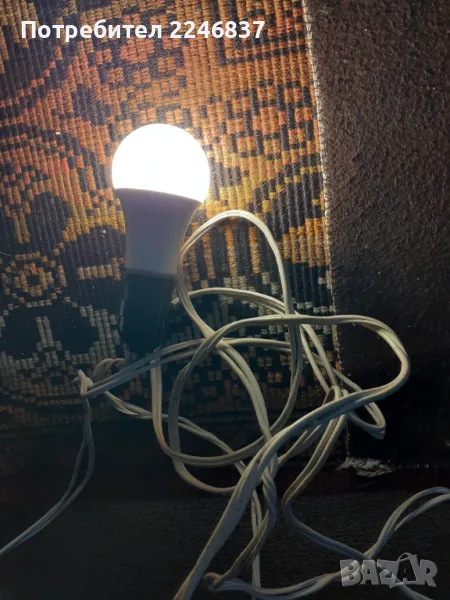 Крушка, снимка 1