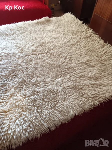 вълнен китеник, снимка 1